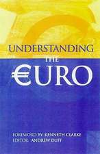 Understanding the Euro