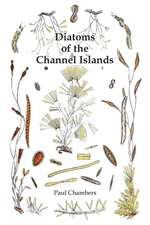 Diatoms of the Channel Islands