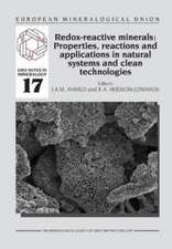 Redox-reactive Minerals: Properties, Reactions and Applications in Clean Technologies