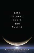 Life Between Death and Rebirth