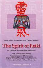 The Spirit of Reiki: A Practical Manual for Diagnosing, Treating, and Healing with Natural Tibetan Medicine