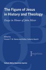 The Figure of Jesus in History and Theology: Essays in Honor of John Meier