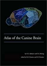 Atlas of the Canine Brain