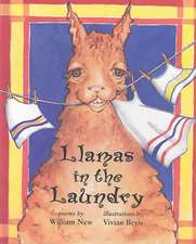 Llamas in the Laundry