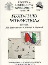 Fluid-Fluid Interactions