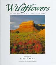 Wildflowers of the Plateau and Canyon Country