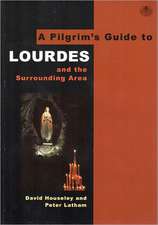 A Pilgrim's Guide to Lourdes: And the Surrounding Area