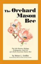 The Orchard Mason Bee