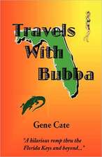 Travels with Bubba: An Understanding of the Psychology of Spirituality