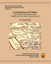 From Hohokam to O'odham: The Protohistoric Occupation of the Middle Gila River Valley, Central Arizona