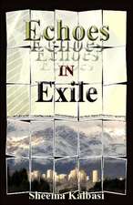 Echoes in Exile: U.S. in Us