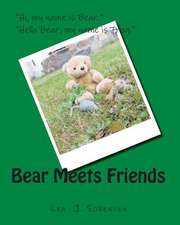 Bear Meets Friends