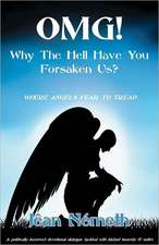 Omg! Why the Hell Have You Forsaken Us?: Where Angels Fear to Tread