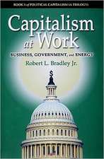 Capitalism at Work: Business, Government, and Energy