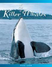 A Pod of Killer Whales