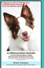 La Reincarnation Animales Et La Vie Animale Apres La Mort