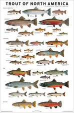 Trout of North America Poster