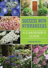 Success With Hydrangeas