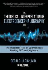 The Theoretical Interpretation of Electroencephalography (Eeg): The Important Role of Spontaneous Resting Eeg and Vigilance