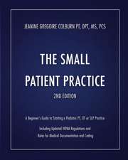 The Small Patient Practice: A Beginner's Guide to Starting a Pediatric Pt, OT or SLP Practice