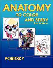 Anatomy to Color and Study 2nd Edition