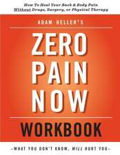 Adam Heller's Zero Pain Now Workbook: Stories and a Novella