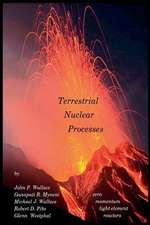 Terrestrial Nuclear Processes