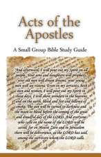 Acts of the Apostles, a Small Group Bible Study Guide