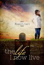 The Life I Now Live: Living a Lifestyle of Leisure Without Sacrificing Your Bottom-Line