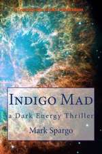 Indigo Mad: A Dark Energy Thriller