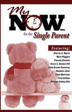 My Now for the Single Parent