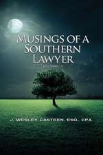 Musings of a Southern Lawyer