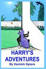 Harry's Adventures