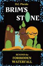 Brim's Stone