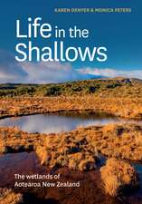 Life in the Shallows