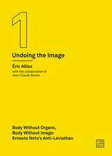 Body Without Organs, Body Without Image