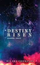 Destiny Risen