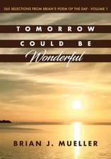 Tomorrow Could Be Wonderful: 365 Selections from Brian's Poem of the Day (Vol. 1)