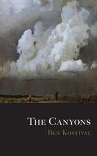 The Canyons