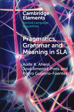 Pragmatics, Grammar and Meaning in Sla