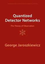 Quantized Detector Networks: The Theory of Observation