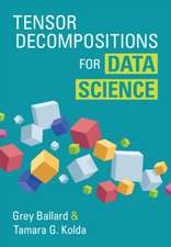 Tensor Decompositions for Data Science