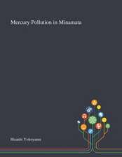 Mercury Pollution in Minamata