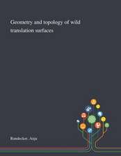 Geometry and Topology of Wild Translation Surfaces