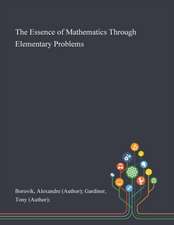 The Essence of Mathematics Through Elementary Problems