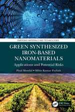 Green Synthesized Iron-based Nanomaterials: Applications and Potential Risks