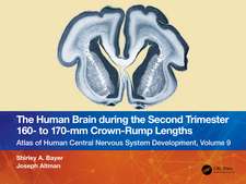 The Human Brain during the Second Trimester 160– to 170–mm Crown-Rump Lengths: Atlas of Human Central Nervous System Development, Volume 9