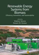 Renewable Energy Systems from Biomass: Efficiency, Innovation and Sustainability