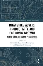 Intangible Assets, Productivity and Economic Growth