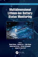 Multidimensional Lithium-Ion Battery Status Monitoring